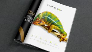 portfolio