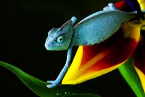 Blog post