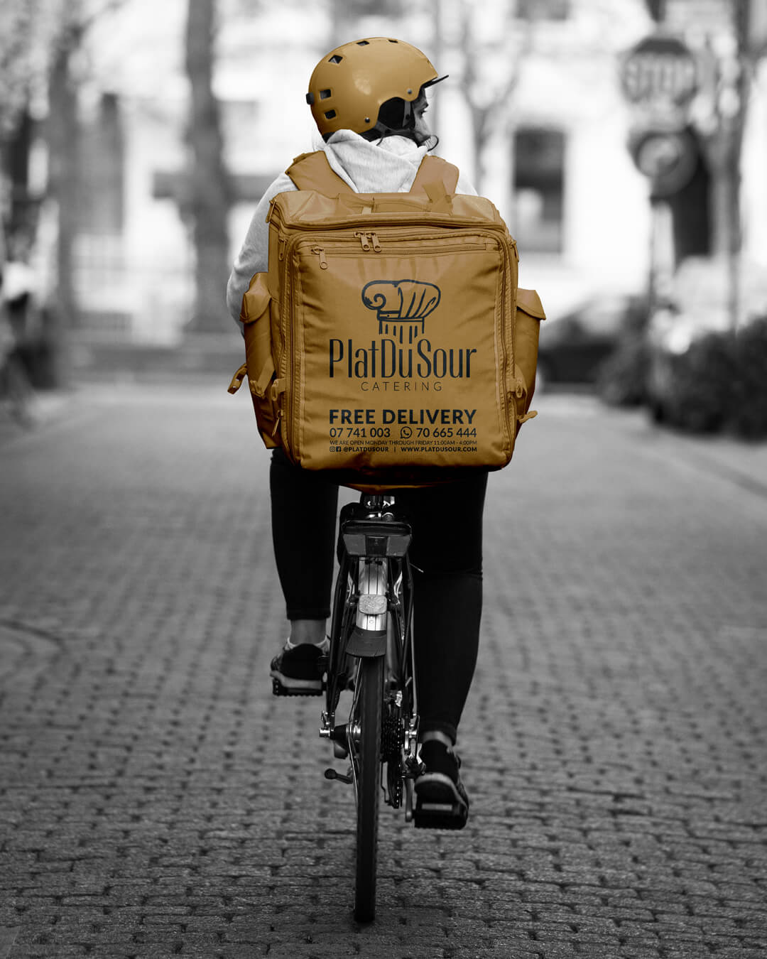 CHAMELEON 1080x1080 PLAT DU SOUR DELIVERY BAG