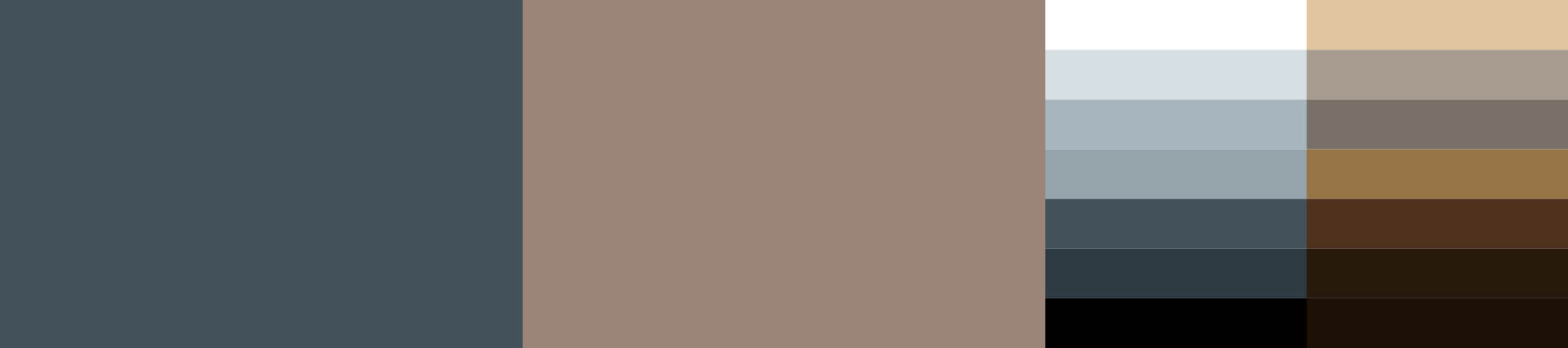 CHAMELEON 1800x1200 HOAYEK FURNITURE AND DESIGN COLOR PALETTE