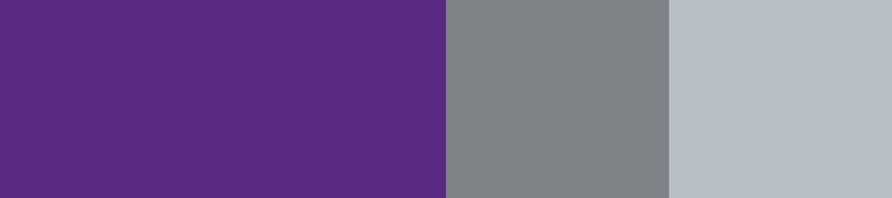 CHAMELEON 1800x1200 HOT ICE COMMUNICATIONS COLOR PALETTE